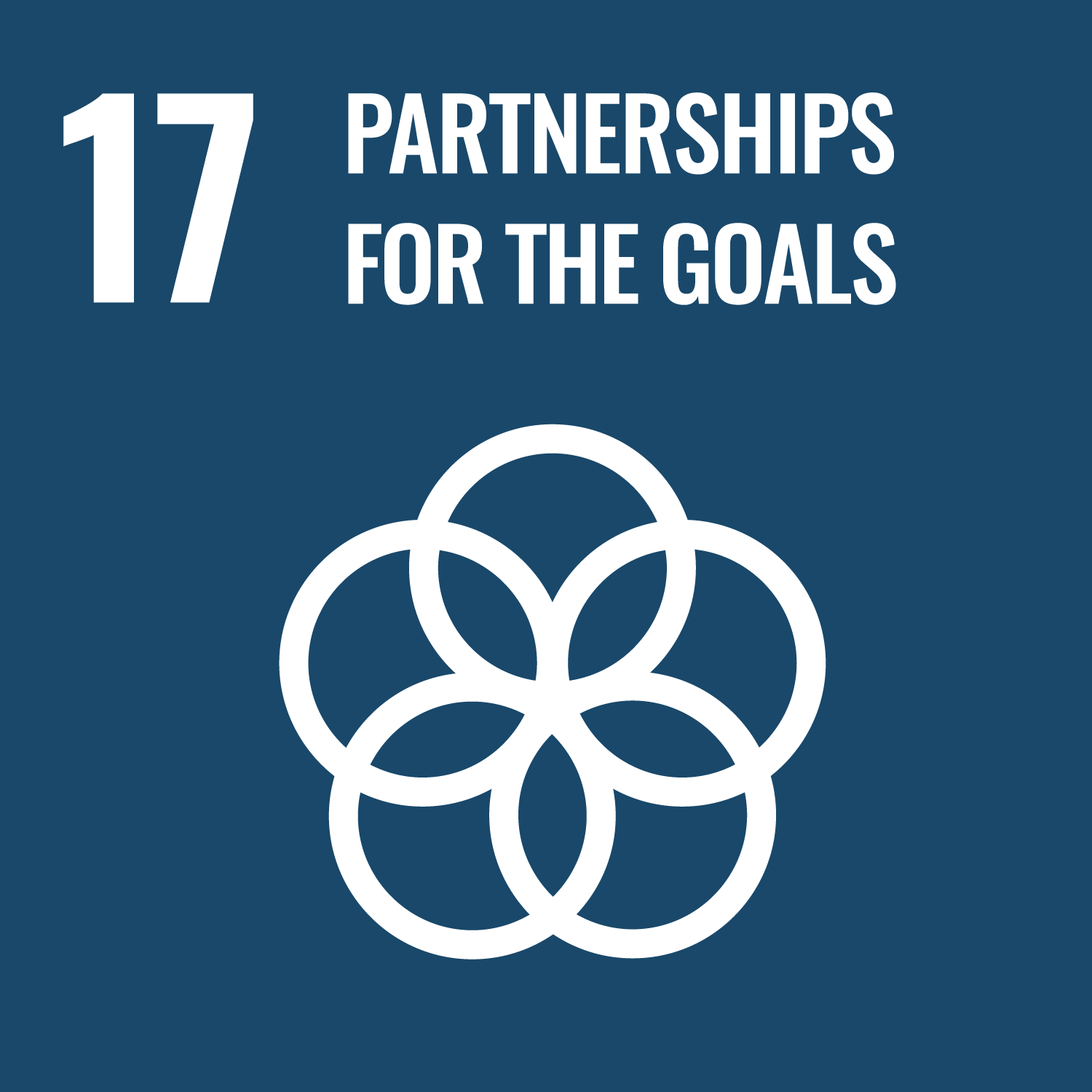 The Nordics and Sustainable Development Goal 17: Partnerships for the goals